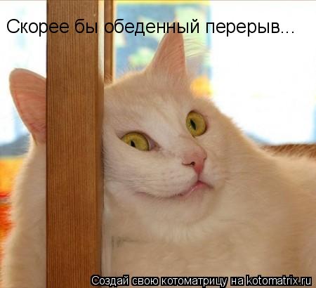 Котоматрица: Скорее бы обеденный перерыв...