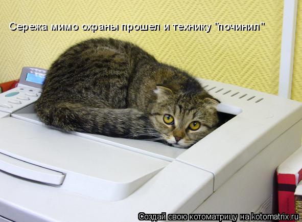 Котоматрица: Сережа мимо охраны прошел и технику "починил"