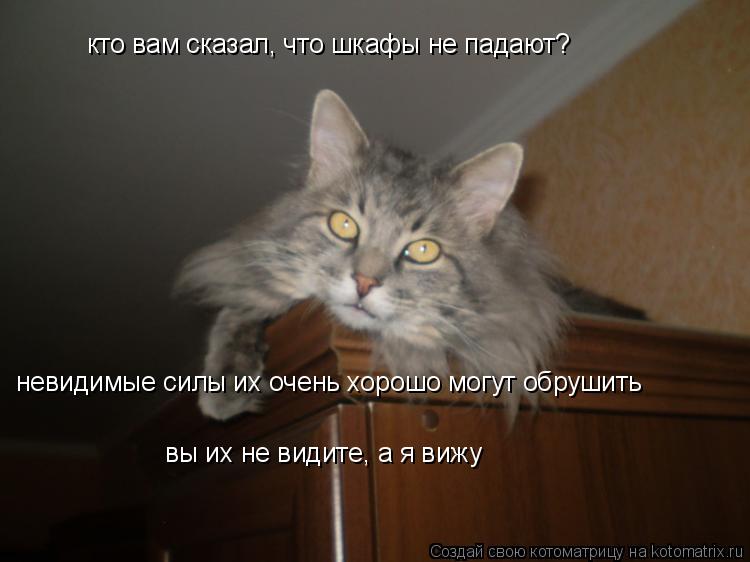 Котоматрица: кто вам сказал, что шкафы не падают? невидимые силы их очень хорошо могут обрушить вы их не видите, а я вижу