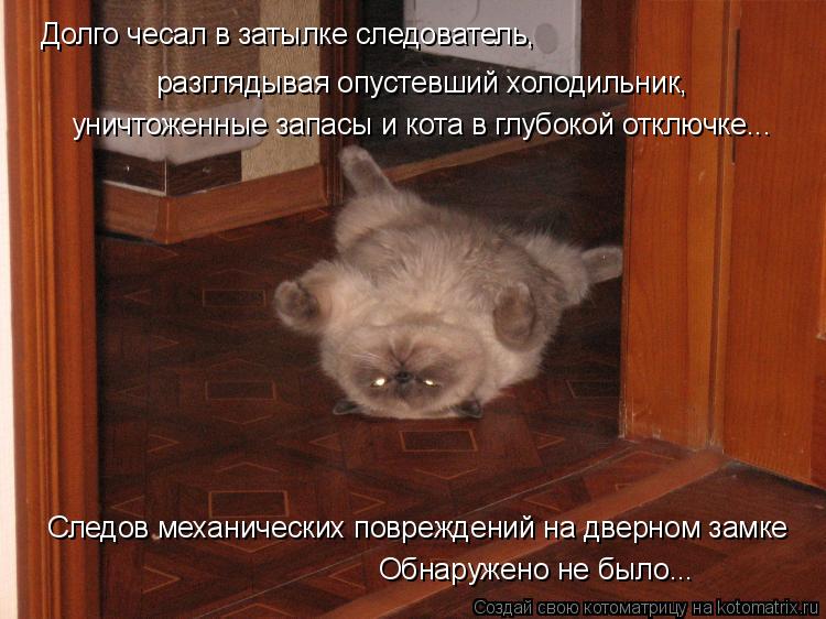 Котоматрица: Следов механических повреждений на дверном замке Обнаружено не было... Долго чесал в затылке следователь,  разглядывая опустевший холодиль