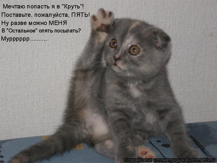 Котоматрица: Мечтаю попасть я в "Круть"! Поставьте, пожалуйста, ПЯТЬ! Ну разве можно МЕНЯ В "Остальное" опять посылать? Мурррррр..........