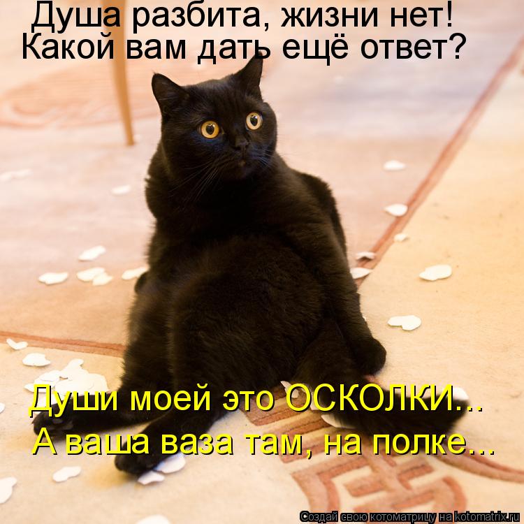 Душа разбита, жизни нет! Какой вам дать ещё ответ? Души моей это ОСКОЛКИ... А ваша ваза там, на полке... Котоматрица: Душа разбита, жизни нет! Какой вам дать ещё ответ? Души моей это ОСКОЛКИ... А ваша ваза там, на полке...