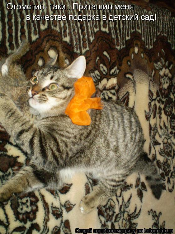 Котоматрица: Отомстил- таки...Притащил меня в качестве подарка в детский сад!