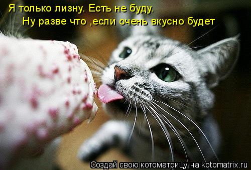 Котоматрица: Я только лизну. Есть не буду.  Ну разве что ,если очень вкусно будет