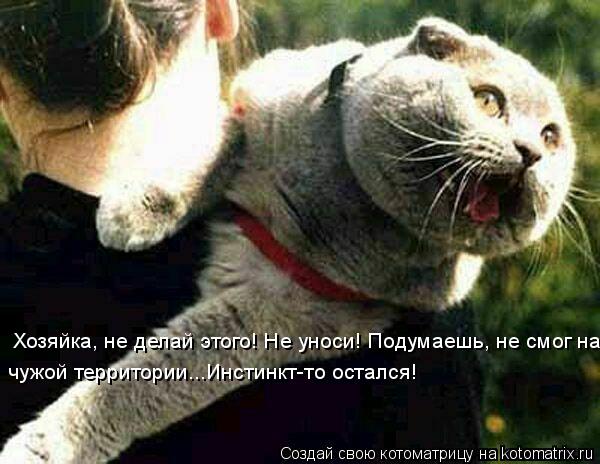 Котоматрица: Хозяйка, не делай этого! Не уноси! Подумаешь, не смог на чужой территории...Инстинкт-то остался!