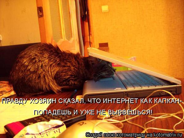 Котоматрица: ПРАВДУ ХОЗЯИН СКАЗАЛ, ЧТО ИНТЕРНЕТ КАК КАПКАН- ПОПАДЕШЬ И УЖЕ НЕ ВЫРВЕШЬСЯ!