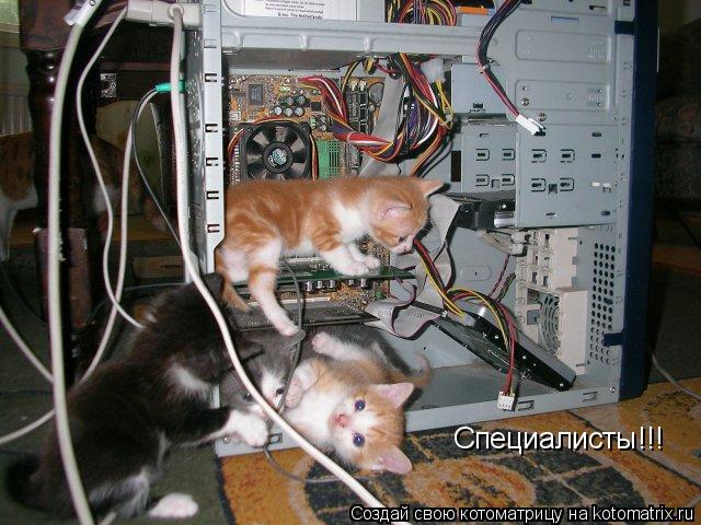 Котоматрица: Специалисты!!!