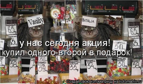 Котоматрица: у нас сегодня акция! купил одного-второй в подарок!