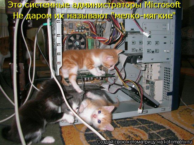 Котоматрица: Это системные администраторы Microsoft Не даром их называют "мелко-мягкие"