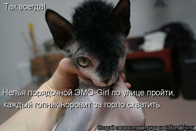 Котоматрица: Так всегда! каждый гопник норовит за горло схватить. Нелья порядочной ЭМО-Girl по улице пройти,