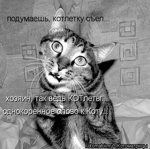 Котоматрица: подумаешь, котлетку съел... хозяин, так ведь КОТлеты... однокоренное слово к Коту...