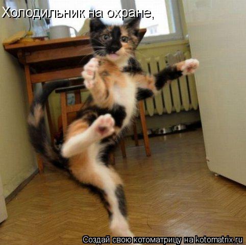 Котоматрица: Холодильник на охране,