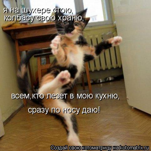Котоматрица: я на шухере стою, колбасу свою храню, всем кто лезет в мою кухню, сразу по носу даю! ,