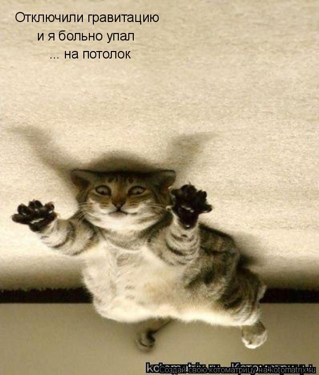Котоматрица: Отключили гравитацию и я больно упал ... на потолок