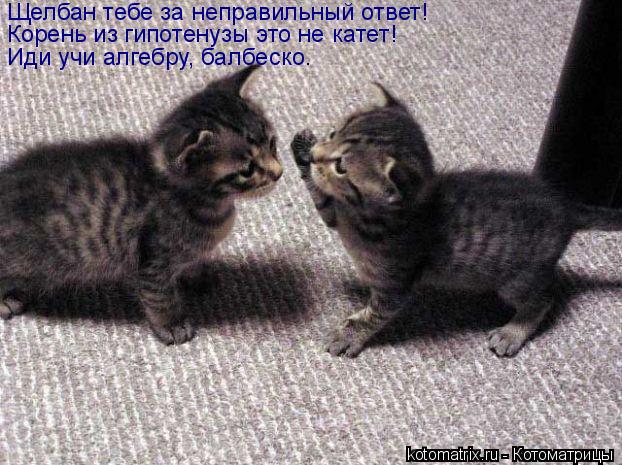 Котоматрица: Щелбан тебе за неправильный ответ! Корень из гипотенузы это не катет! Иди учи алгебру, балбеско.