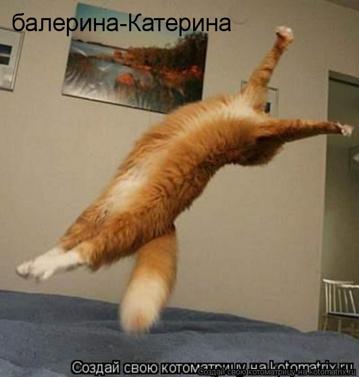 Котоматрица: балерина-Катерина