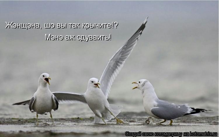 Котоматрица: Жэнщэна, шо вы так крычите!? Мэнэ аж сдуваить!