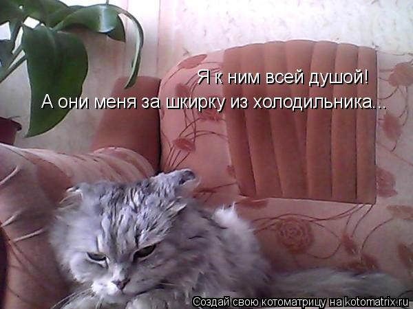 Котоматрица: Я к ним всей душой! А они меня за шкирку из холодильника...