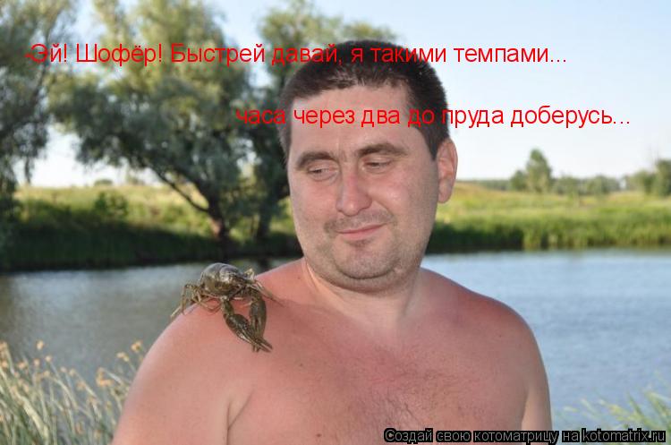 Котоматрица: -Эй! Шофёр! Быстрей давай, я такими темпами... часа через два до пруда доберусь...