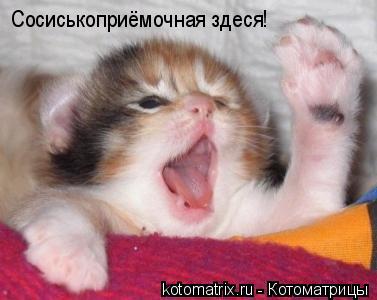 Котоматрица: Сосиськоприёмочная здеся!