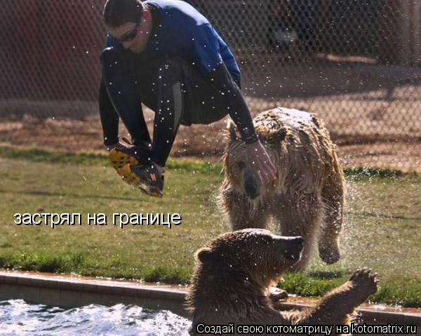 Котоматрица: застрял на границе