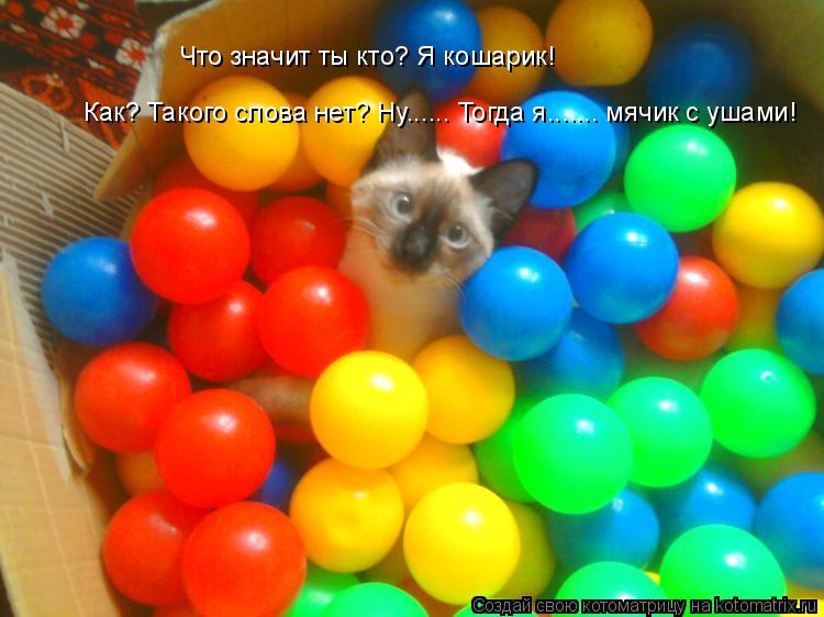 Котоматрица: Что значит ты кто? Я кошарик! Как? Такого слова нет? Ну...... Тогда я....... мячик с ушами!