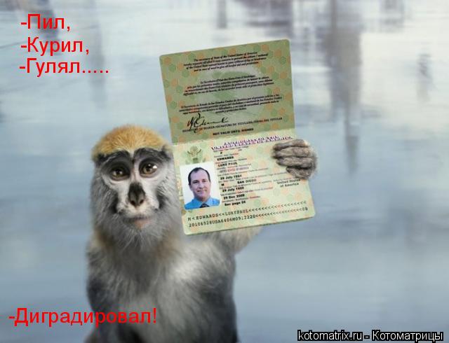 Котоматрица: -Пил, -Курил, -Гулял..... -Диградировал!