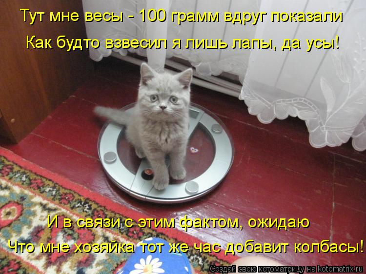 Котоматрица: Тут мне весы - 100 грамм вдруг показали Как будто взвесил я лишь лапы, да усы! И в связи с этим фактом, ожидаю Что мне хозяйка тот же час добавит 