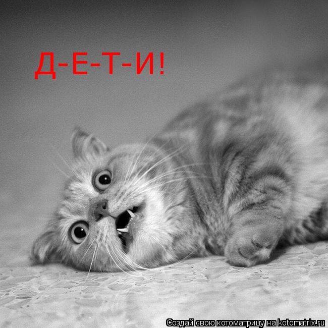 Котоматрица: Д-Е-Т-И!