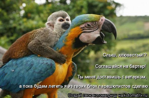 Котоматрица: Ты меня доставишь с ветерком, Соглашайся на бартер! Слыш, клювастый!? а пока будем лететь я из твоих блох парашютистов сделаю.