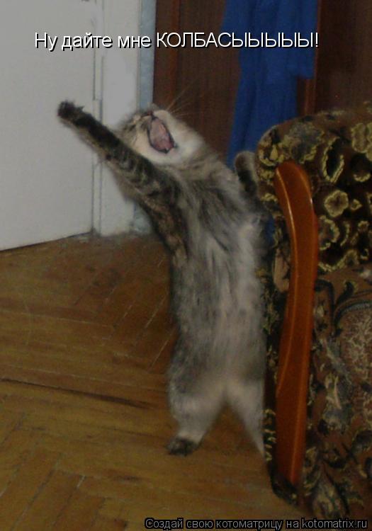 Ну дайте мне КОЛБАСЫЫЫЫЫ!... Котоматрица: Ну дайте мне КОЛБАСЫЫЫЫЫ!