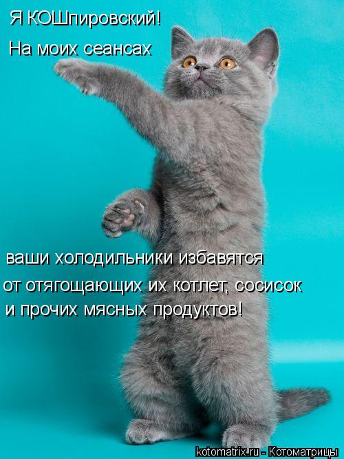 Я КОШпировский! На моих сеансах ваши холодильники избавятся от отягощающих их котлет, сосисок и проч... Котоматрица: Я КОШпировский! На моих сеансах ваши холодильники избавятся от отягощающих их котлет, сосисок и прочих мясных продуктов!