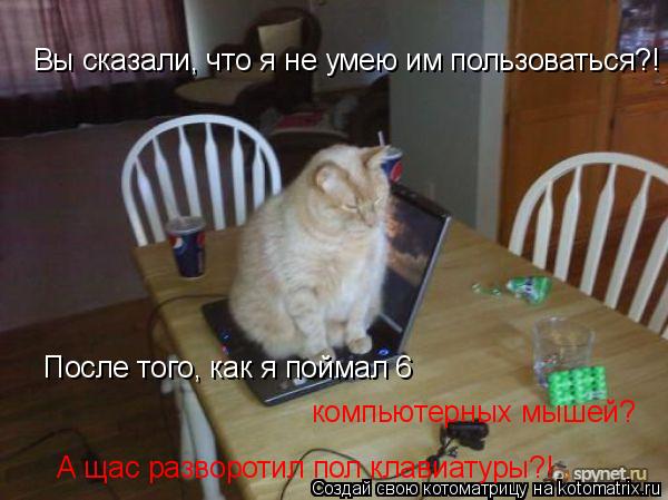 Вы сказали, что я не умею им пользоваться?! После того, как я поймал 6 компьютерных мышей? А щас разв... Котоматрица: Вы сказали, что я не умею им пользоваться?! После того, как я поймал 6 компьютерных мышей? А щас разворотил пол клавиатуры?!