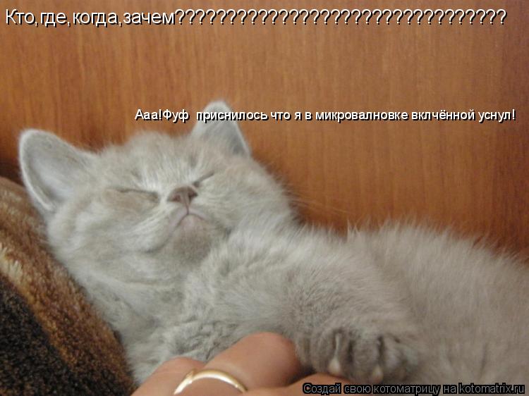 Кто,где,когда,зачем???????????????????????????????? Ааа!Фуф приснилось что я в микровалновке вклчённ... Котоматрица: Кто,где,когда,зачем???????????????????????????????? Ааа!Фуф приснилось что я в микровалновке вклчённой уснул!
