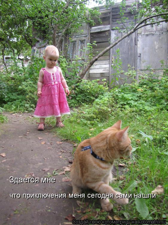 Здается мне что приключения меня сегодня сами нашли... Котоматрица: Здается мне что приключения меня сегодня сами нашли