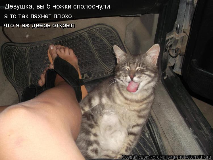 Девушка, вы б ножки сполоснули, а то так пахнет плохо, что я аж дверь открыл.... Котоматрица: Девушка, вы б ножки сполоснули, а то так пахнет плохо, что я аж дверь открыл.
