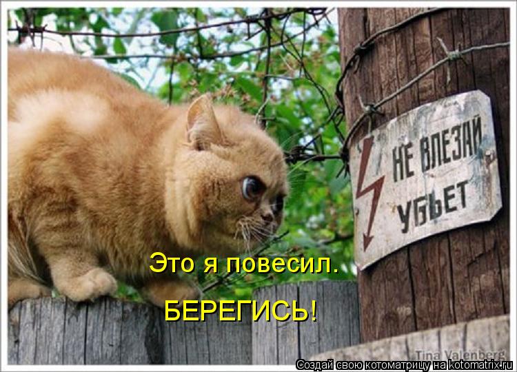 Котоматрица: Это я повесил. БЕРЕГИСЬ!