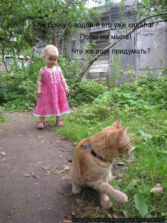 Котоматрица: В бочку с водой,я его уже кидала! Полы им мыла! Что же еще придумать?