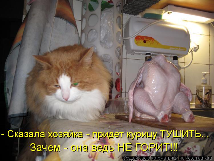 - Сказала хозяйка - придет курицу ТУШИТЬ... Зачем - она ведь НЕ ГОРИТ!!!... Котоматрица: - Сказала хозяйка - придет курицу ТУШИТЬ... Зачем - она ведь НЕ ГОРИТ!!!
