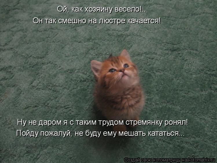 Ой, как хозяину весело!.. Он так смешно на люстре качается! Ну не даром я с таким трудом стремянку ро... Котоматрица: Ой, как хозяину весело!.. Он так смешно на люстре качается! Ну не даром я с таким трудом стремянку ронял! Пойду пожалуй, не буду ему мешать кат