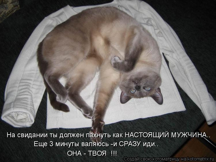 Котоматрица: На свидании ты должен пахнуть как НАСТОЯЩИЙ МУЖЧИНА.. Еще 3 минуты валяюсь -и СРАЗУ иди.. ОНА - ТВОЯ  !!!
