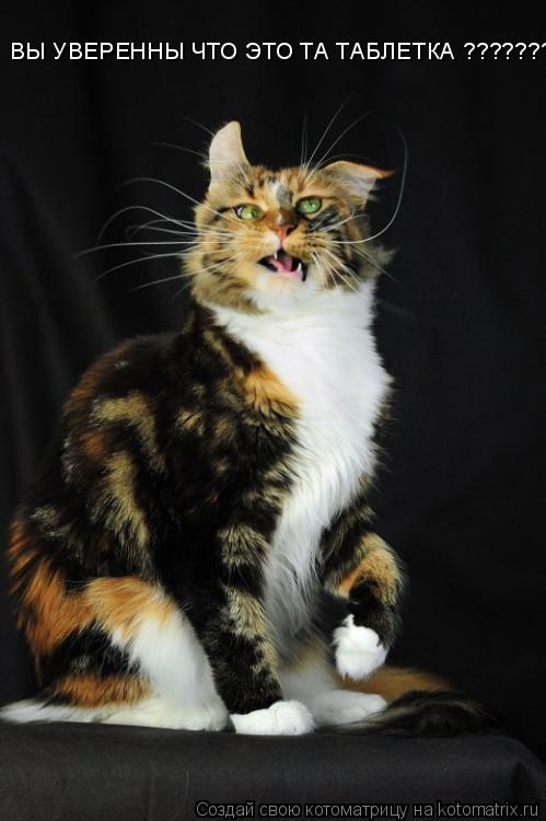 Котоматрица: ВЫ УВЕРЕННЫ ЧТО ЭТО ТА ТАБЛЕТКА ??????????