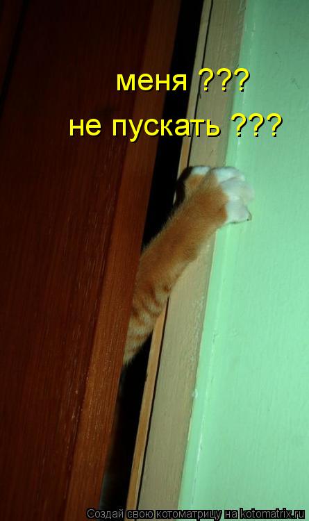 Котоматрица: меня ??? не пускать ???