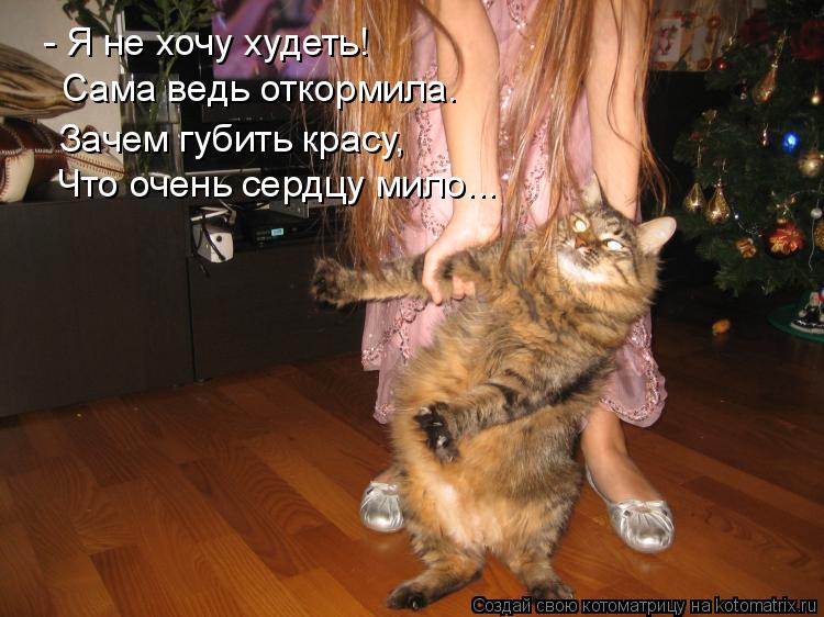 Котоматрица: - Я не хочу худеть! Сама ведь откормила. Зачем губить красу, Что очень сердцу мило...