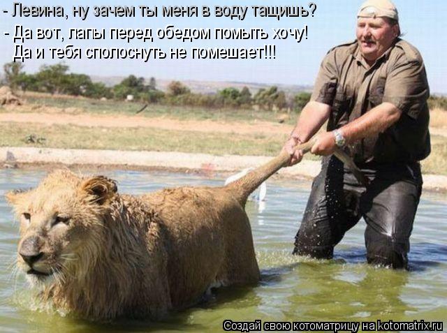 Котоматрица: - Да вот, лапы перед обедом помыть хочу! Да и тебя сполоснуть не помешает!!! - Левина, ну зачем ты меня в воду тащишь?