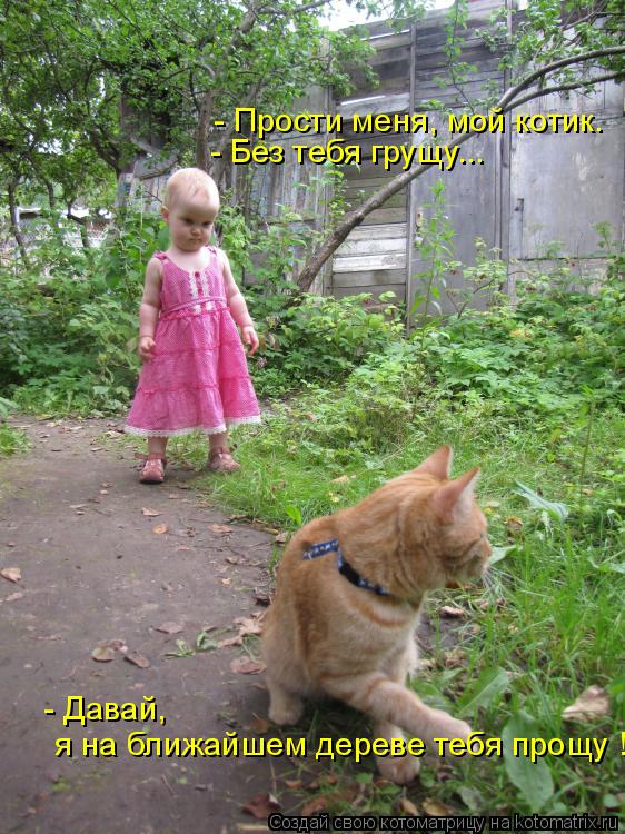 Котоматрица: - Прости меня, мой котик. - Без тебя грущу... - Давай,  я на ближайшем дереве тебя прощу !