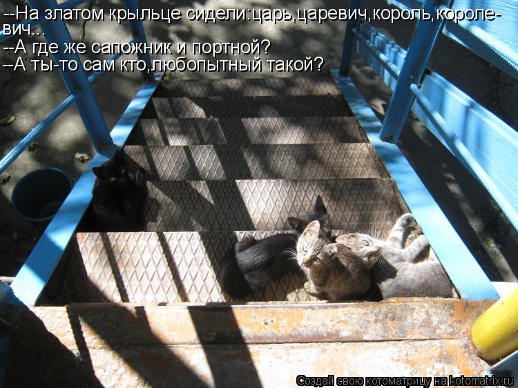 Котоматрица: --На златом крыльце сидели:царь,царевич,король,короле- вич... --А где же сапожник и портной? --А ты-то сам кто,любопытный такой?