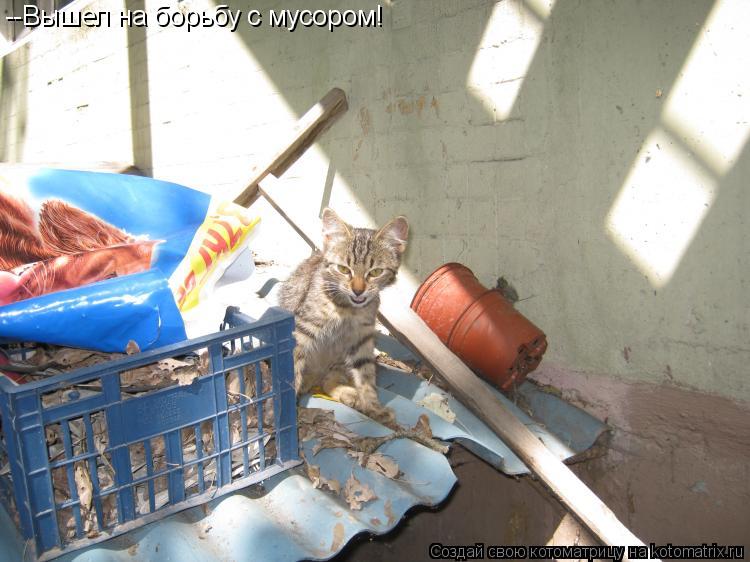 Котоматрица: --Вышел на борьбу с мусором!