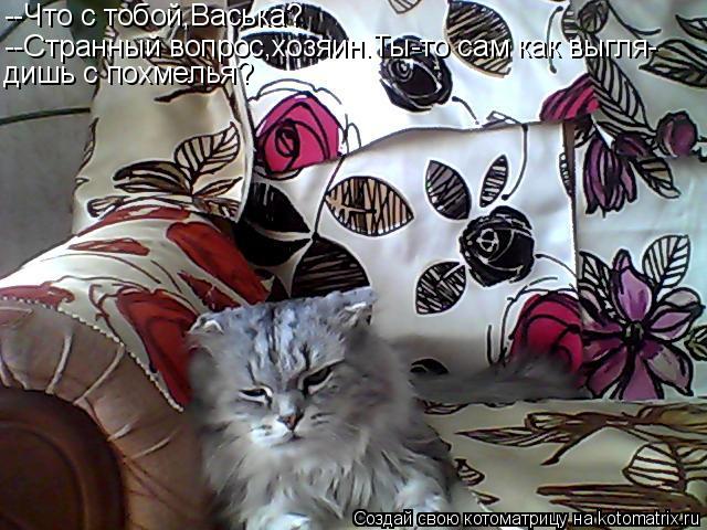 Котоматрица: --Что с тобой,Васька? --Странный вопрос,хозяин.Ты-то сам как выгля- дишь с похмелья?