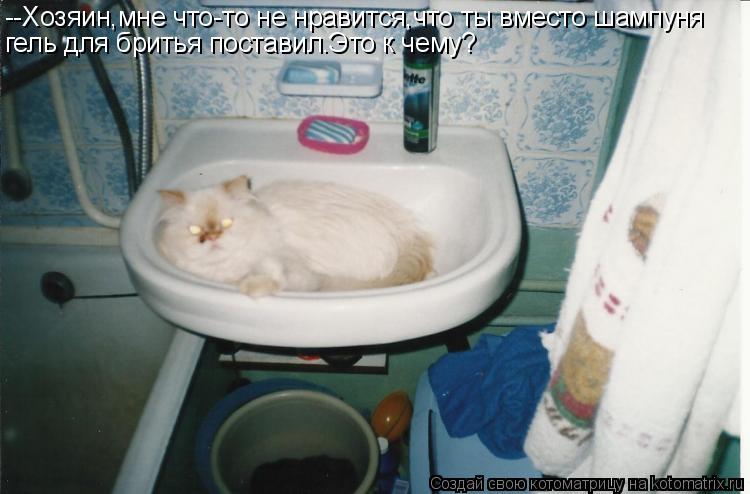 Котоматрица: --Хозяин,мне что-то не нравится,что ты вместо шампуня гель для бритья поставил.Это к чему?